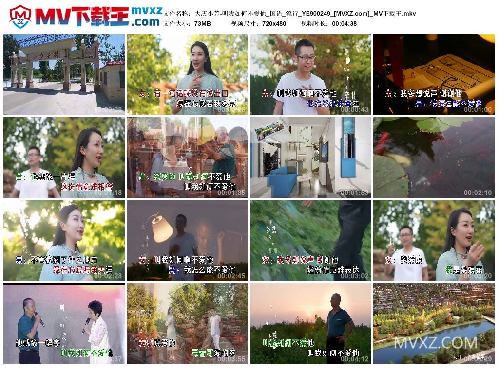 大庆小芳-叫我如何不爱他_国语_流行_YE900249